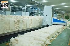 Cotton Carded Open-End Yarns