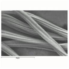 Cotton Modal Yarn