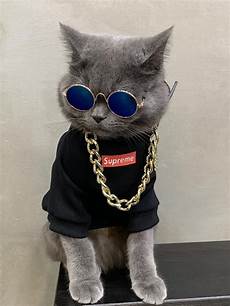 Cotton Supreme