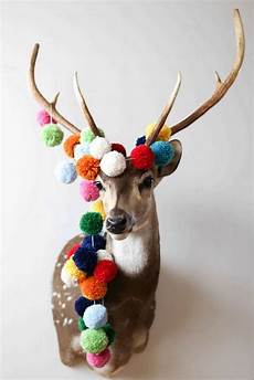 Cotton To Yarn
