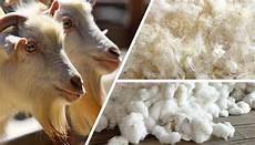 Polyester Yarns