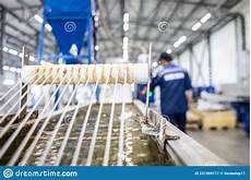 Polypropylene Yarns