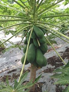 Round Tyrpe Irrigation Systems