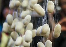 Spun Yarns