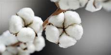 Synthetic Yarns