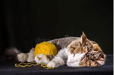 Tricolor Yarn